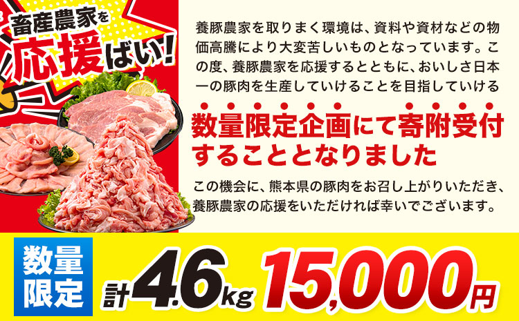 数量限定★生産者応援★ 豚肉 小分け バラエティ セット うまか ポーク しゃぶしゃぶ 切り落とし 豚ロース バラ 豚バラ 豚バラ肉 スライス 4.6kg 4600g 4kg 以上 真空 お楽しみセット 不揃い 数量限定 簡易包装 冷凍配送 1セット《30日以内に出荷予定(土日祝除く)》