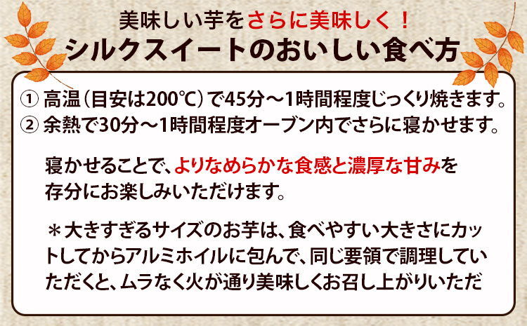 【早期予約】熊本県大津町産 タカハマ観光農園のシルクスイート 約5kg《1月上旬-4月末頃出荷》 さつまいも 芋 スイートポテト 干し芋にも