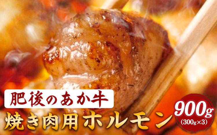 あか牛焼き肉用ホルモン 900g 株式会社KAM Brewing《60日以内に出荷予定(土日祝除く)》st-p