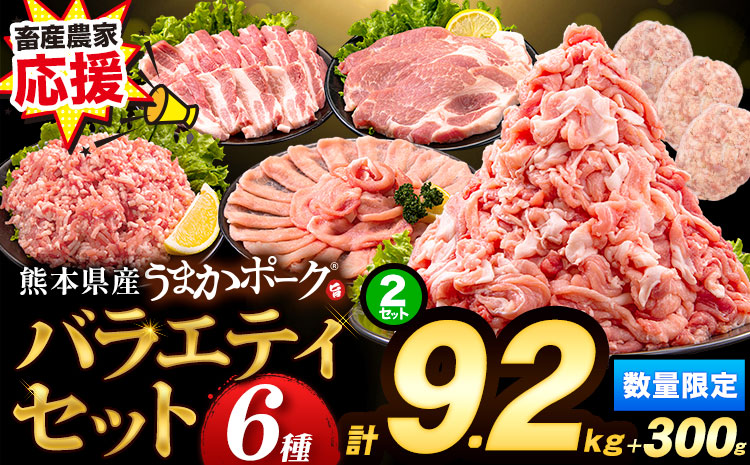 数量限定★生産者応援★ 豚肉 小分け バラエティ セット うまか ポーク しゃぶしゃぶ 切り落とし 豚ロース バラ 豚バラ 豚バラ肉 スライス 計 9.5kg 4.6kg × 2セット ＋ 300g 9kg 以上 真空 お楽しみセット 不揃い 数量限定 簡易包装 冷凍配送 《30日以内に出荷予定(土日祝除く)》