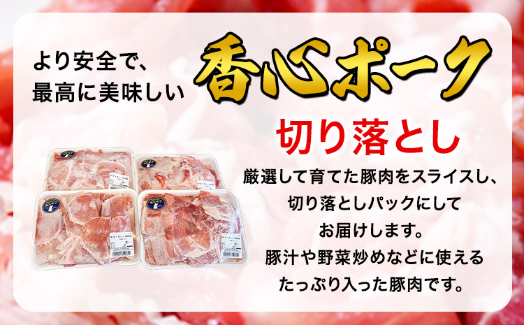 香心ポーク 香心ポーク切り落とし 約4kg 有限会社コーシン《30日以内に出荷予定(土日祝除く)》 熊本 大津町 切り落とし 豚肉 豚