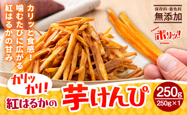 カリッカリ 紅はるかの芋けんぴ 250g 1袋250g 熊本県大津町産 無添加《30日以内に出荷予定(土日祝を除く)》薩摩芋 さつまいも サツマイモ イモケンピ 保存料・着色料 不使用 小分け
