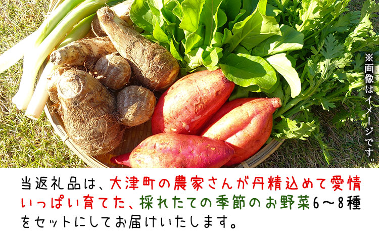 熊本県大津町産 季節の野菜セット(6〜8種類) 野菜 冷蔵 JA菊池 大津中央支所 とれたて市場《60日以内に出荷予定(土日祝除く)》