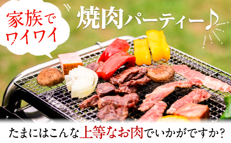 6ヶ月定期便 肥後のあか牛 焼き肉用 500g（計6回お届け×500g 合計:3kg）株式会社KAM Brewing《お申込み月の翌月から出荷開始》