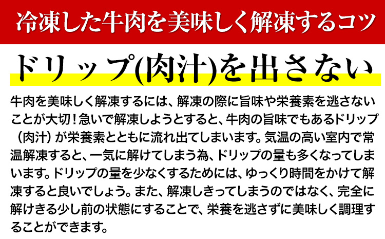 肥後のあか牛 ロースステーキ500g 株式会社KAM Brewing《90日以内に出荷予定(土日祝除く)》 熊本県産 熊本県大津町