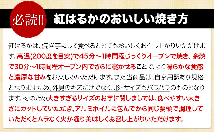 熊本県大津町産 中無田農園の紅はるか 約1.5kg (大中小サイズ不揃い) 熊本県大津町 《12月上旬-12月末頃出荷(土日祝除く)》 さつまいも 芋 スイートポテト 干し芋にも 名産地 特産品 秋 旬