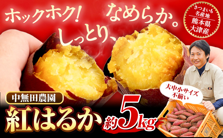 熊本県大津町産 中無田農園の紅はるか 約5kg (大中小サイズ不揃い) 熊本県大津町 《12月上旬-12月末頃出荷(土日祝除く)》 さつまいも 芋 スイートポテト 干し芋にも 名産地 特産品 秋 旬