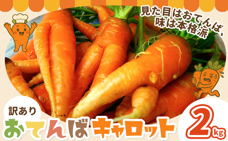 人参 訳あり にんじん ニンジン キャロット 2kg《12月中旬-3月上旬頃出荷》熊本県 大津町 人参 送料無料 にんじん キャロット 熊本県産 にんじん