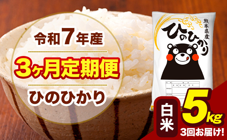 令和7年産 【3ヶ月定期便】 白米 米 ひのひかり 5kg《お申込み翌月から出荷》熊本県 大津町 国産 熊本県産 白米 送料無料 ヒノヒカリ こめ お米