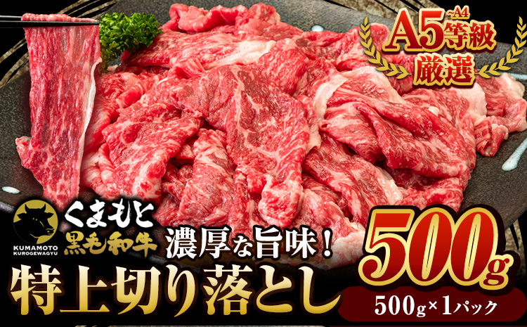 くまもと黒毛和牛 ウデ・モモ 赤身切り落とし 500g (500g×1) 牛肉 冷凍 《30日以内に出荷予定(土日祝除く)》冷凍庫 個別 取分け 小分け 個包装 モモ スライス 肉 お肉 しゃぶしゃぶ すき焼きA5 A4