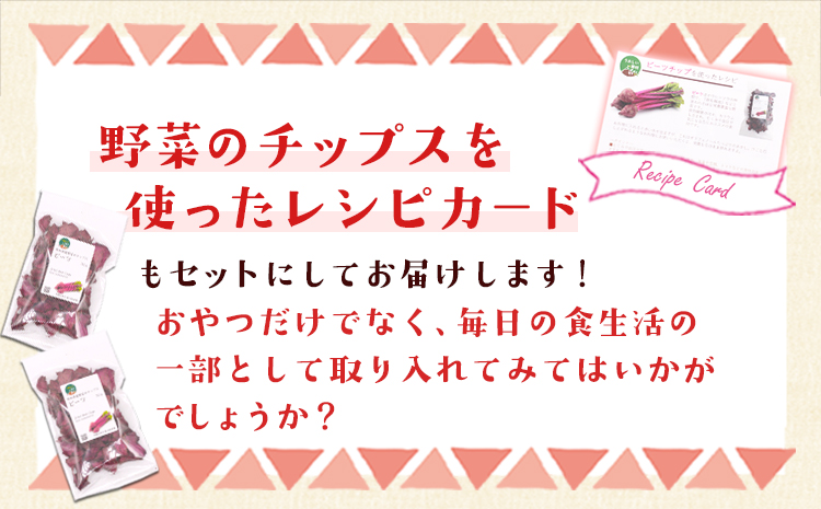 菊芋料理セット レシピ付き チップ【ビーツ&ビーツ】《30日以内に出荷予定(土日祝除く)》熊本県 大津町 菊芋パウダー 菊芋チップス FSSC22000取得 株式会社阿蘇自然の恵み総本舗