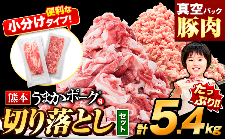 豚肉 切り落とし ＆ ミンチ ハーフセット  3セット 5.4kg 豚 細切れ こま切れ 豚こま 豚小間切れ 豚しゃぶ 小分け 訳あり 訳有 ひき肉 うまかポーク 傷 規格外 ぶた肉 ぶた 真空パック 数量限定 簡易包装 冷凍 《30営業日以内に出荷予定(土日祝除く)》