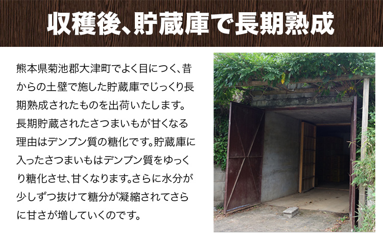 熊本県大津町産 中無田農園の紅はるか 約1.5kg (大中小サイズ不揃い) 熊本県大津町 《12月上旬-12月末頃出荷(土日祝除く)》 さつまいも 芋 スイートポテト 干し芋にも 名産地 特産品 秋 旬