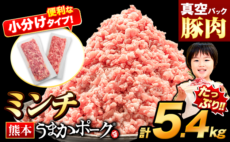 熊本うまかポーク 約300g~400g×14~18袋 5.4kg ミンチのみ パックミンチ  冷凍 豚 個別 個別包装 大容量 ブタ 豚肉 小分け ミンチ 熊本県産 豚 細切れ こま切れ 豚こま 豚小間切れ 豚しゃぶ 小分け 訳あり 訳有 ひき肉 うまかポーク 傷 規格外 ぶた肉 ぶた 真空パック  簡易包装 冷凍 《2月下旬-3月末頃出荷予定》