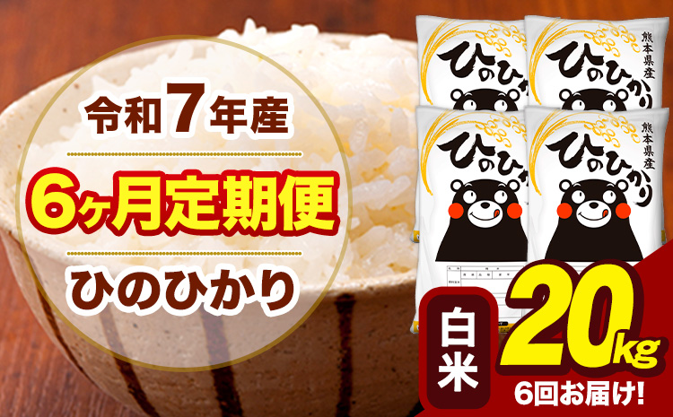 令和7年産 【6ヶ月定期便】 白米 米 ひのひかり 20kg《お申込み翌月から出荷》熊本県 大津町 国産 熊本県産 白米 送料無料 ヒノヒカリ こめ お米
