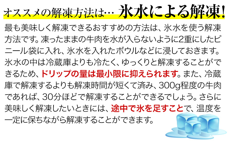 肥後のあか牛 ロースステーキ500g 株式会社KAM Brewing《90日以内に出荷予定(土日祝除く)》 熊本県産 熊本県大津町