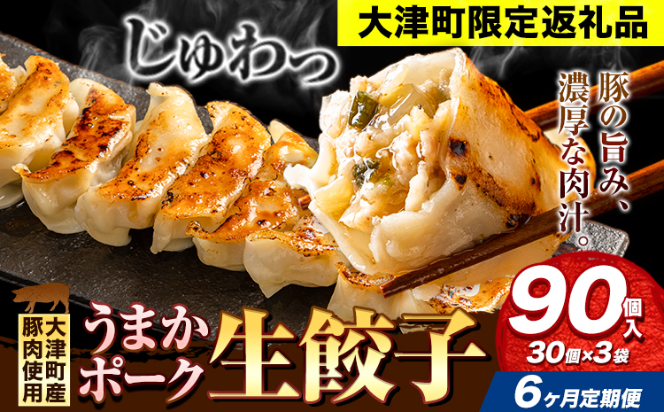 餃子 うまかポーク生餃子 90個 【6ヶ月定期便】タレ付き 大津町限定返礼品 冷凍餃子 ギョウザ《お申込み月の翌月から発送開始》大津町産豚肉使用 九州産キャベツ使用（大津町産含む）皮モチモチ 肉汁溢れる ぎょうざ （30個×3袋）