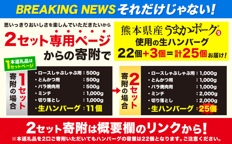 数量限定★生産者応援★ 豚肉 小分け バラエティ セット うまか ポーク しゃぶしゃぶ 切り落とし 豚ロース バラ 豚バラ 豚バラ肉 スライス 4.6kg 4600g 4kg 以上 真空 お楽しみセット 不揃い 数量限定 簡易包装 冷凍配送 1セット《30日以内に出荷予定(土日祝除く)》