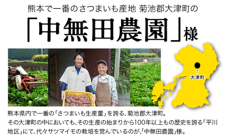 熊本県大津町産 中無田農園の紅はるか 約5kg (大中小サイズ不揃い) 熊本県大津町 《12月上旬-12月末頃出荷(土日祝除く)》 さつまいも 芋 スイートポテト 干し芋にも 名産地 特産品 秋 旬