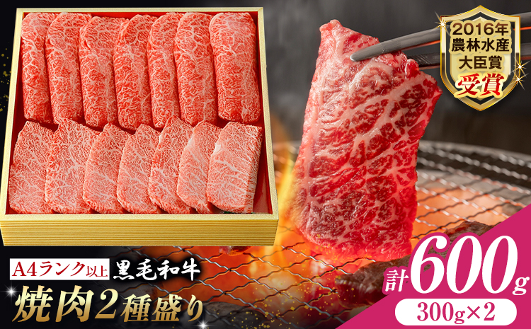 A5 A4 ランク 厳選 黒毛和牛 焼肉 2種盛り 600g《30日以内に出荷予定(土日祝除く)》熊本県 大津町 和牛焼肉LIEBE ステーキ 冷蔵 リーベ