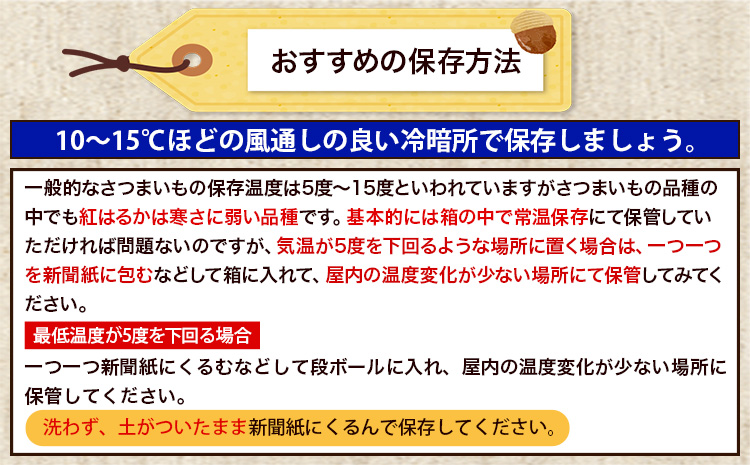 【早期予約】熊本県大津町産 タカハマ観光農園のシルクスイート 約5kg《1月上旬-4月末頃出荷》 さつまいも 芋 スイートポテト 干し芋にも