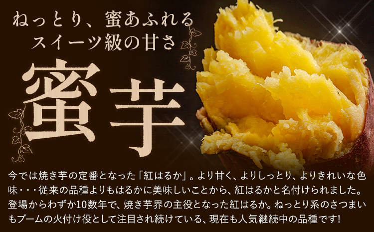 çæ¬ç倧接çºç£ äžç¡ç°èŸ²åã®çŽ
ã¯ãã çŽ1.5kg (倧äžå°ãµã€ãºäžæã) çæ¬çå€§æŽ¥çº ã12æäžæ¬-1æäžæ¬é åºè·äºå®ã ãã€ãŸãã è ã¹ã€ãŒãããã å¹²ãèã«ã åç£å° ç¹ç£å ç§ æ¬