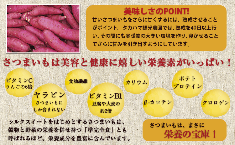 熊本県大津町産 タカハマ観光農園の紅はるか 約5kg(大中小ミックス)《12月中旬-4月末頃出荷》 さつまいも 芋 スイートポテト 干し芋にも