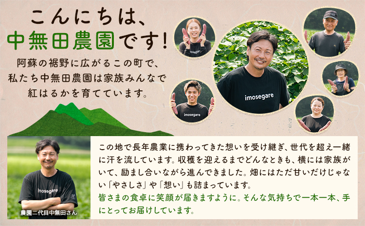 çæ¬ç倧接çºç£ äžç¡ç°èŸ²åã®çŽ
ã¯ãã çŽ1.5kg (倧äžå°ãµã€ãºäžæã) çæ¬çå€§æŽ¥çº ã12æäžæ¬-1æäžæ¬é åºè·äºå®ã ãã€ãŸãã è ã¹ã€ãŒãããã å¹²ãèã«ã åç£å° ç¹ç£å ç§ æ¬