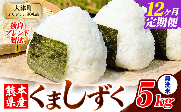 【12ヶ月定期便】無洗米 熊本県産 ブレンド米 くましずく 5kg 熊本県産 ふるさと納税 無洗米 米 こめ ふるさとのうぜい コメ お米 おこめ《お申込み翌月から出荷》