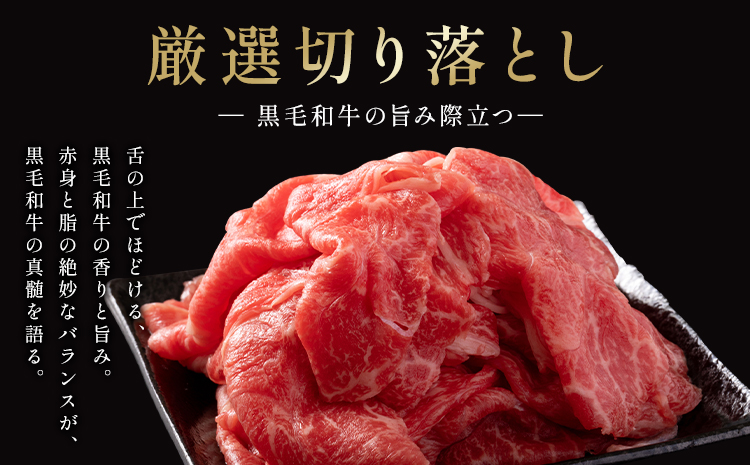 厳選 くまもと黒毛和牛 切り落とし 3kg ( 1パック 500g ) 《30日以内に出荷予定(土日祝除く)》熊本県 大津町 和牛焼肉LIEBE くまもと黒毛和牛 切り落とし 冷凍 リーベ