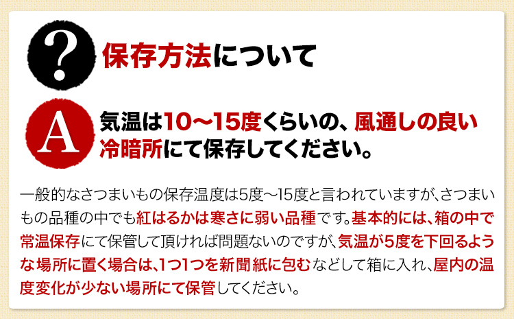 熊本県大津町産 中無田農園の紅はるか 約1.5kg (大中小サイズ不揃い) 熊本県大津町 《12月上旬-12月末頃出荷(土日祝除く)》 さつまいも 芋 スイートポテト 干し芋にも 名産地 特産品 秋 旬