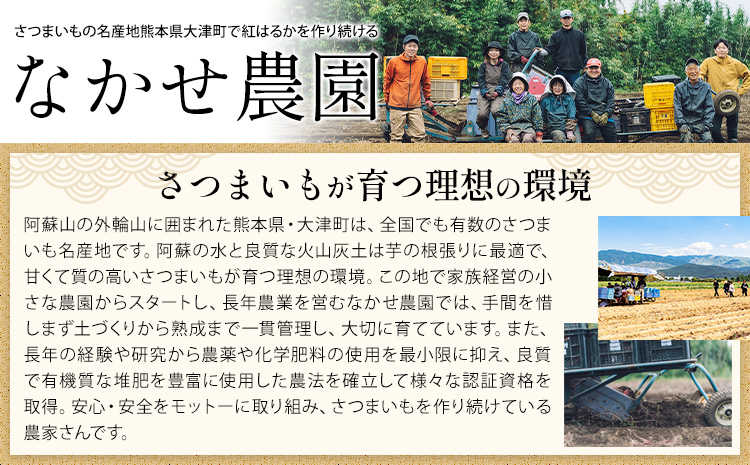 さつまいも 芋 なかせ農園 蔵出し ベニーモ 約 5kg (大中小サイズ不揃い)《1-5日以内に出荷予定(土日祝除く)》 さつま いも さつま芋 芋 紅 はるか スイート ポテト 干し芋にも 特産品 SDGs 中瀬農園