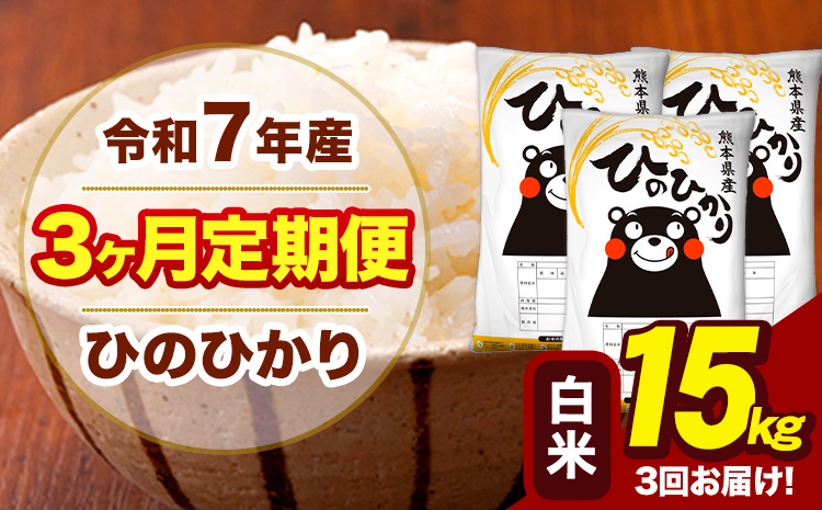 令和7年産 【3ヶ月定期便】 白米 米 ひのひかり 15kg《お申込み翌月から出荷》熊本県 大津町 国産 熊本県産 白米 送料無料 ヒノヒカリ こめ お米