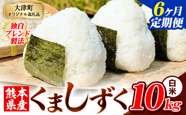 【6ヶ月定期便】白米 熊本県産 ブレンド米 くましずく 10kg 熊本県産 ふるさと納税 白米 精米 米 こめ ふるさとのうぜい コメ お米 おこめ《お申込み翌月から出荷》