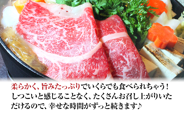 肥後のあか牛 すき焼き用 1000g 株式会社KAM Brewing《90日以内に出荷予定(土日祝除く)》 熊本県産 熊本県大津町