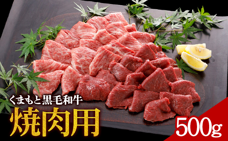 牛肉 くまもと黒毛和牛 焼肉用 500g 株式会社KAM Brewing《30日以内に出荷予定(土日祝除く)》