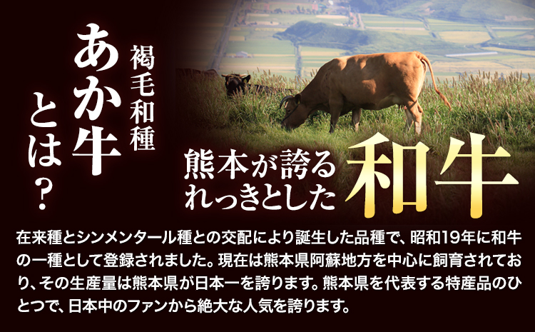 あか牛切り落とし 1.1kg(275g×4パック) 赤身切り落としスライス 《30日以内に出荷予定(土日祝除く)》肉 牛肉 切り落とし 国産牛 切落とし ブランド牛 すき焼き スライス カレー 小分け