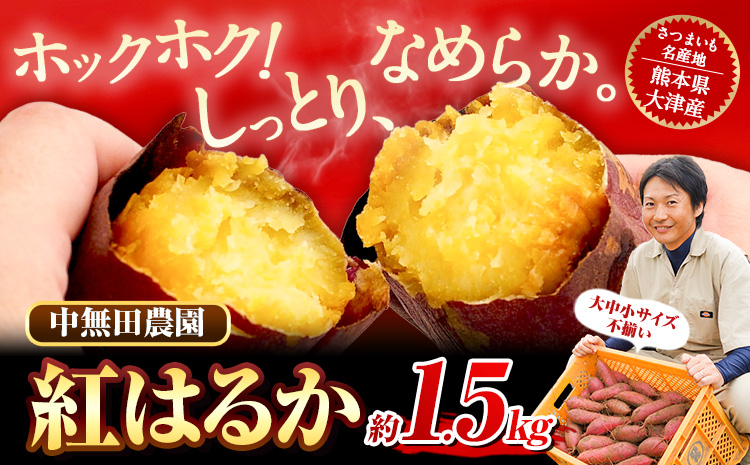 熊本県大津町産 中無田農園の紅はるか 約1.5kg (大中小サイズ不揃い) 熊本県大津町 《12月上旬-12月末頃出荷(土日祝除く)》 さつまいも 芋 スイートポテト 干し芋にも 名産地 特産品 秋 旬