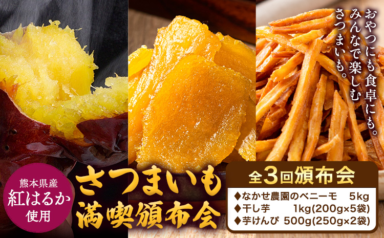 さつまいも 満喫頒布会 全3回 定期便 なかせ農園のベニーモ 干し芋 芋けんぴ 計6.5kg《お申込の翌月より発送開始》熊本県 大津町 さつまいも サツマイモ 紅はるか ほしいも 焼き芋 やきいも イモケンピ 中瀬農園 熊本県産 国産 頒布会 3ヶ月定期便