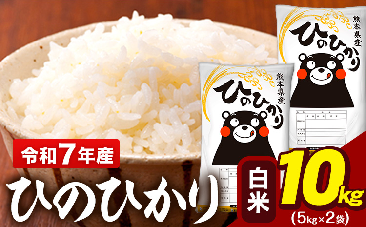 令和7年産 白米 米 ひのひかり 10kg (5kg袋×2)《7-14日以内に出荷予定(土日祝除く)》熊本県 大津町 国産 熊本県産 白米 精米 送料無料 ヒノヒカリ こめ お米