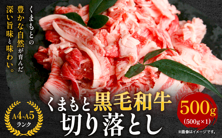 牛肉 A4～A5等級 黒毛和牛 切り落とし くまもと黒毛和牛 切り落とし 500g 《30日以内に出荷予定(土日祝除く)》 牛肉 くまもと黒毛和牛 冷凍 Esprit