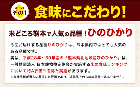 令和7年産 無洗米 【隔月6回定期便】 ひのひかり 10kg《お申込み翌月から出荷》熊本県 大津町 国産 熊本県産 ヒノヒカリ こめ お米