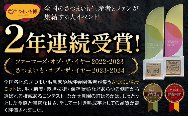 さつまいも 芋 なかせ農園 蔵出し ベニーモ 約 5kg (大中小サイズ不揃い)《1-5日以内に出荷予定(土日祝除く)》 さつま いも さつま芋 芋 紅 はるか スイート ポテト 干し芋にも 特産品 SDGs 中瀬農園