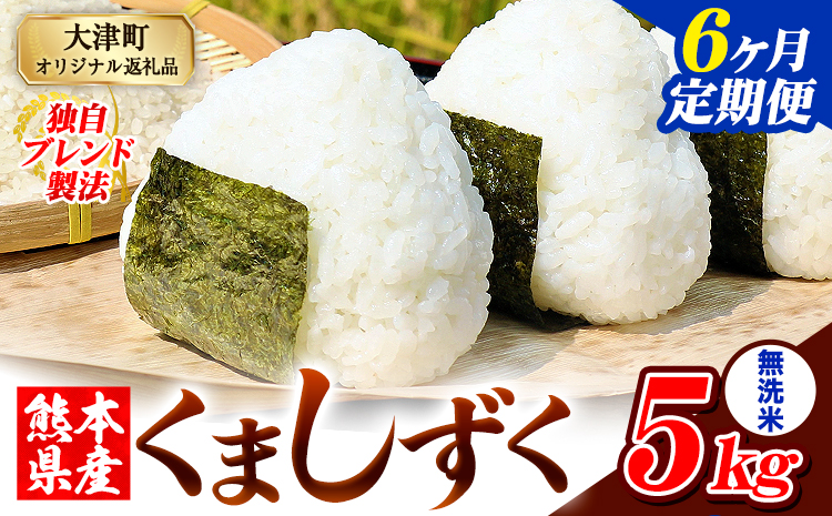 【6ヶ月定期便】無洗米 熊本県産 ブレンド米 くましずく 5kg 熊本県産 ふるさと納税 無洗米 米 こめ ふるさとのうぜい コメ お米 おこめ《お申込み翌月から出荷》