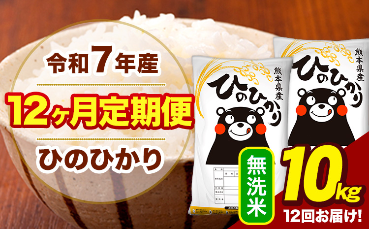 令和7年産 【12ヶ月定期便】 無洗米 米 ひのひかり 10kg《お申込み翌月から出荷》熊本県 大津町 国産 熊本県産 無洗米 送料無料 ヒノヒカリ こめ お米