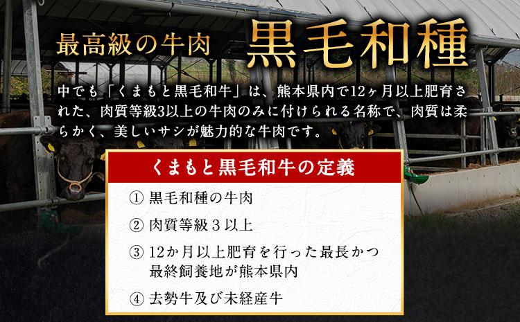 厳選 黒毛和牛 すき焼き用 霜降りロース800g(400g×2) 《30日以内に出荷予定(土日祝除く)》 熊本県 大津町 和牛焼肉LIEBE 黒毛和牛 リブロース 肩ロース すき焼き 冷蔵