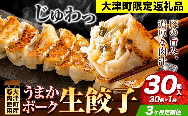 餃子 うまかポーク生餃子 30個 【3ヶ月定期便】タレ付き 大津町限定返礼品 冷凍餃子 ギョウザ《お申込み月の翌月から発送開始》大津町産豚肉使用 九州産キャベツ使用（大津町産含む）皮モチモチ 肉汁溢れる ぎょうざ （30個×1袋）