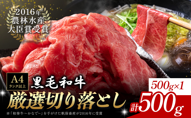 厳選 くまもと黒毛和牛 切り落とし 500g《45日以内に出荷予定(土日祝除く)》熊本県 大津町 和牛焼肉LIEBE くまもと黒毛和牛 切り落とし 冷凍 リーベ