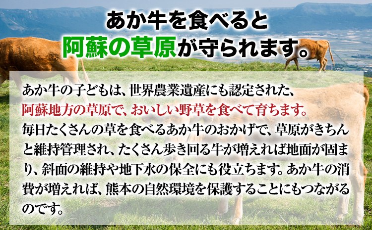 あか牛焼き肉用ホルモン 900g 株式会社KAM Brewing《60日以内に出荷予定(土日祝除く)》st-p