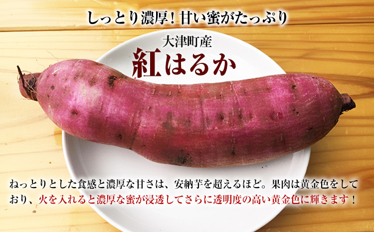 熊本県大津町産 タカハマ観光農園の紅はるか 約5kg(大中小ミックス)《12月中旬-4月末頃出荷》 さつまいも 芋 スイートポテト 干し芋にも